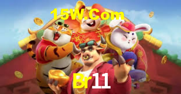 Segurança e privacidade no APP Br11